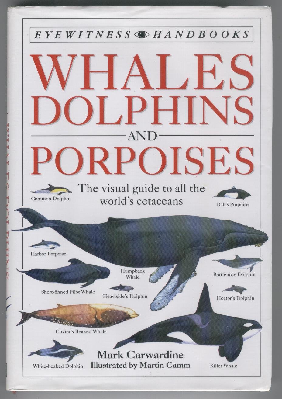 Whales Dolphins And Porpoises