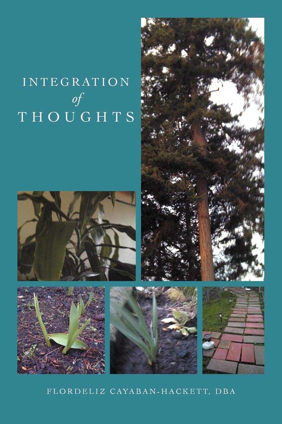 Integration of Thoughts,Used