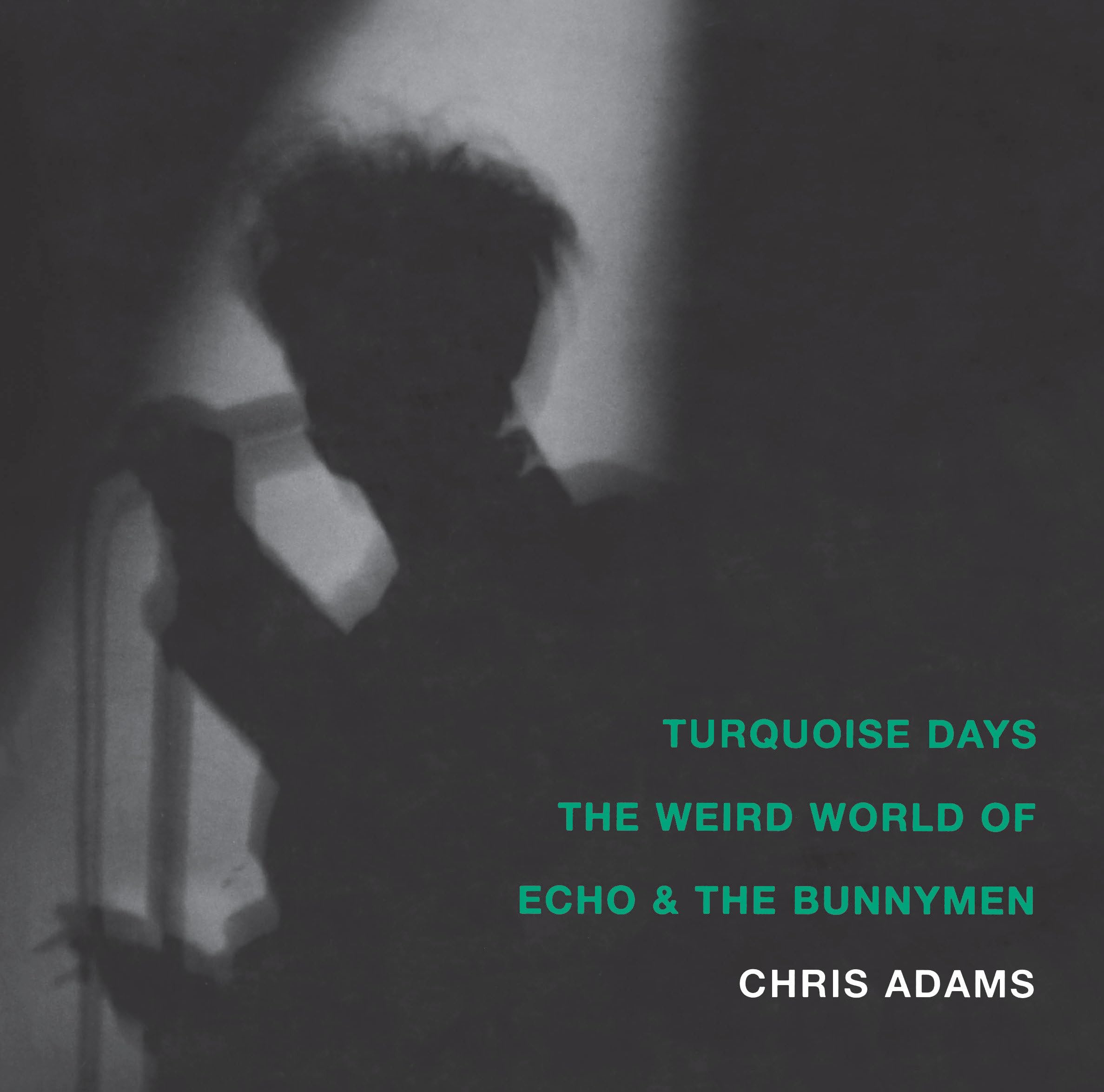 Turquoise Days: The Weird World of Echo & the Bunnymen,New