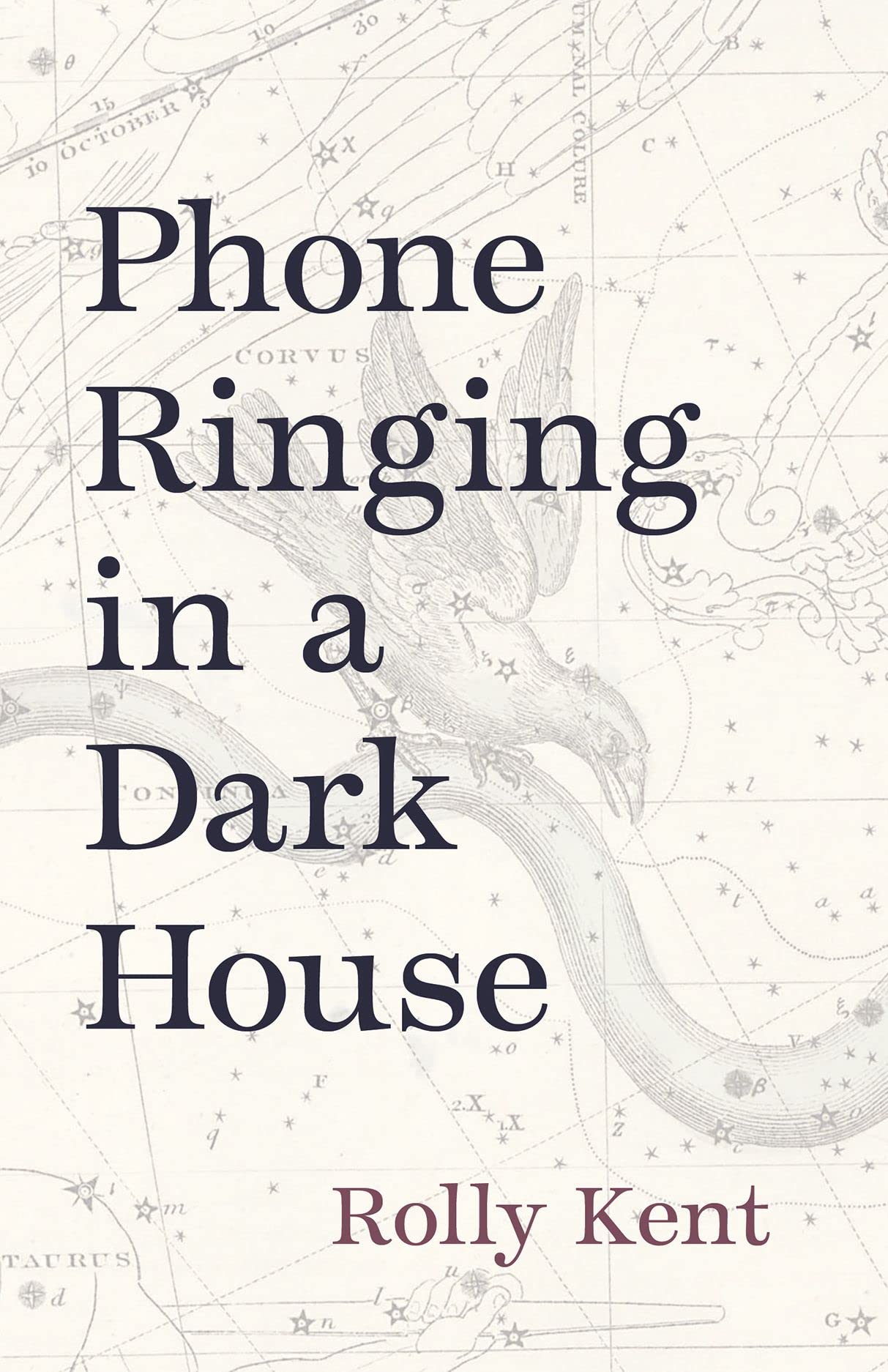 Phone Ringing In A Dark House (Carnegie Mellon University Press Poetry Series),Used