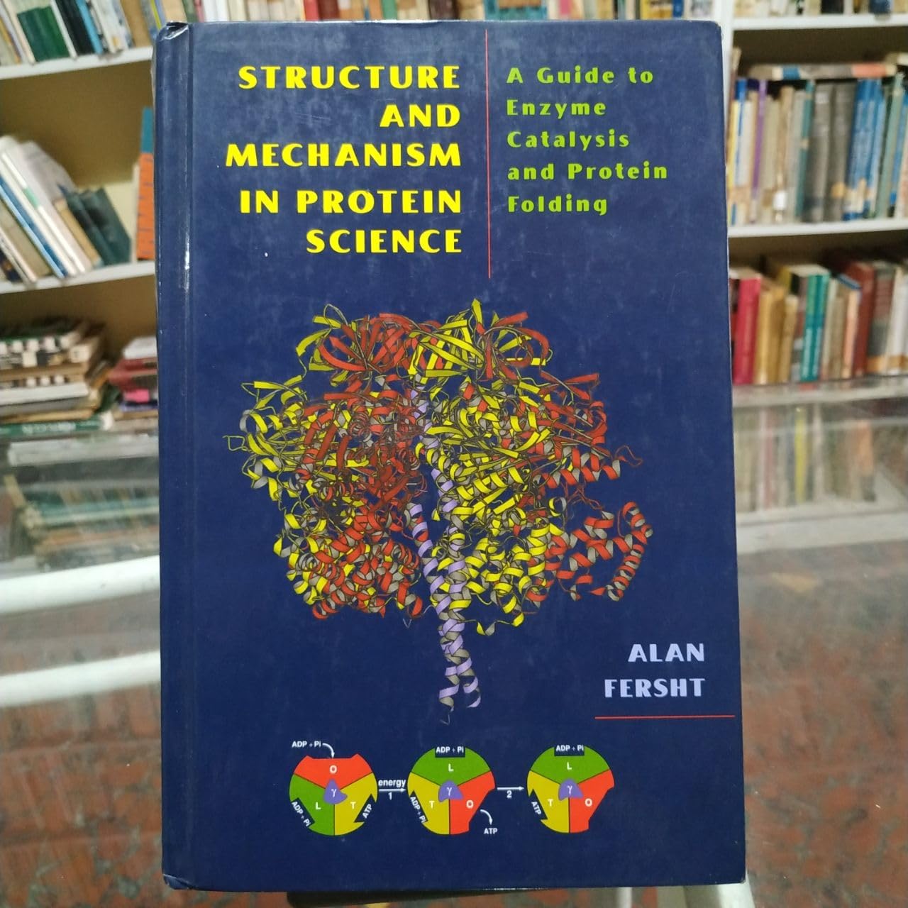 Structure and Mechanism in Protein Science: A Guide to Enzyme Catalysis and Protein Folding,Used