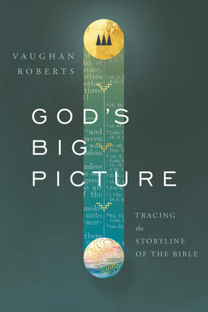 God'S Big Picture: Tracing The Storyline Of The Bible,New