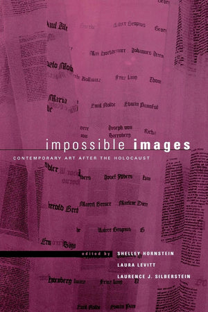 Impossible Images: Contemporary Art After The Holocaust (New Perspectives On Jewish Studies, 4),Used