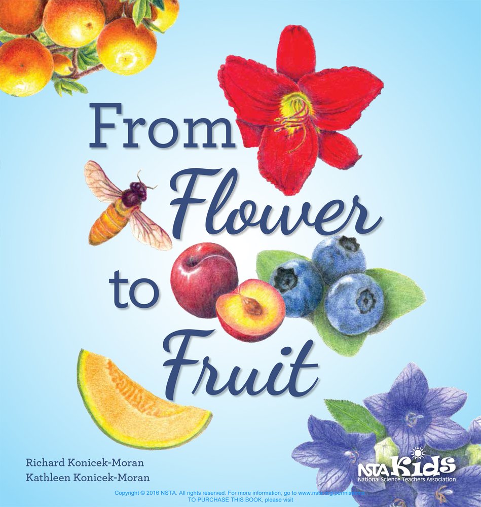 From Flower to Fruit,Used