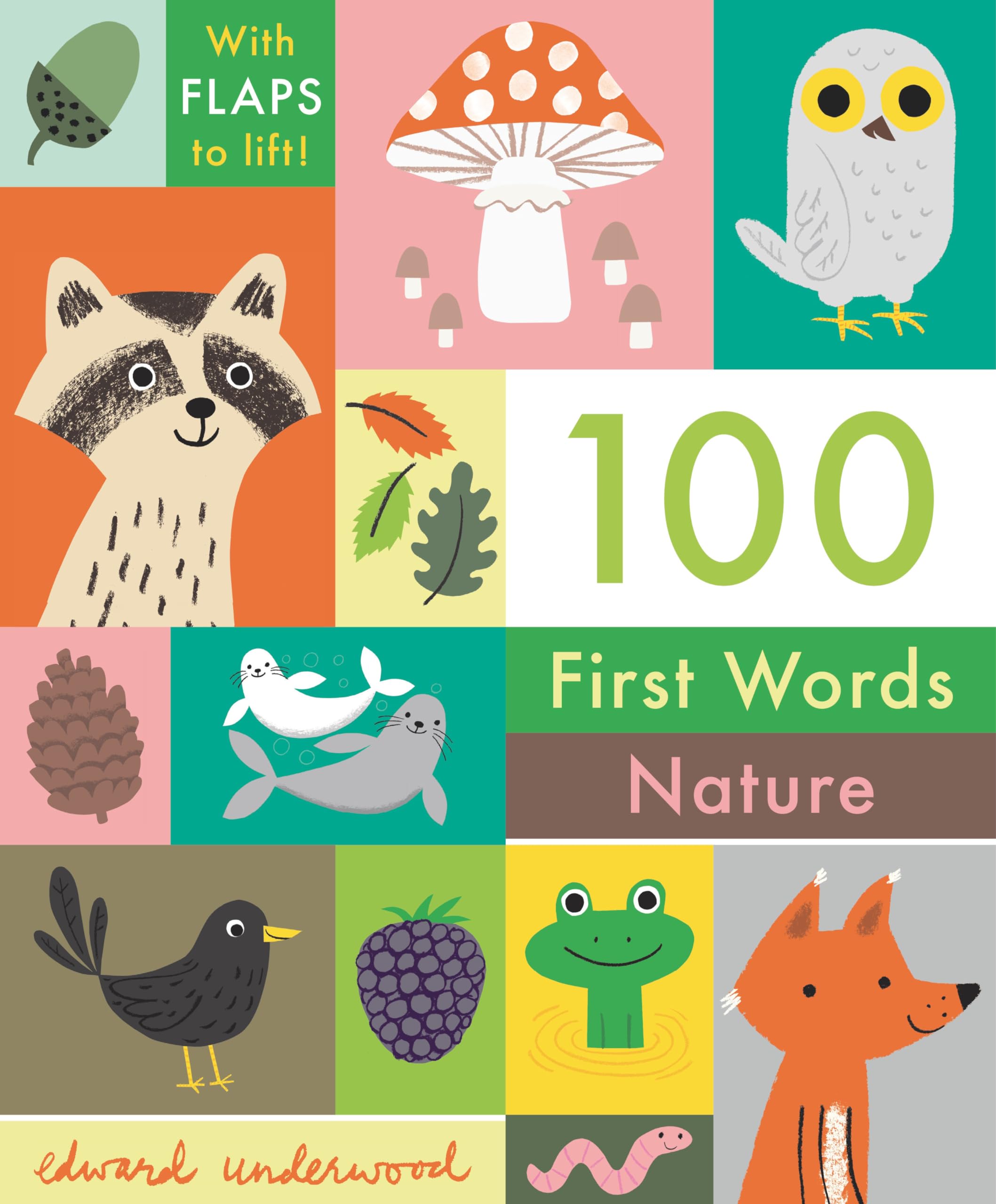 100 First Words: Nature,Used