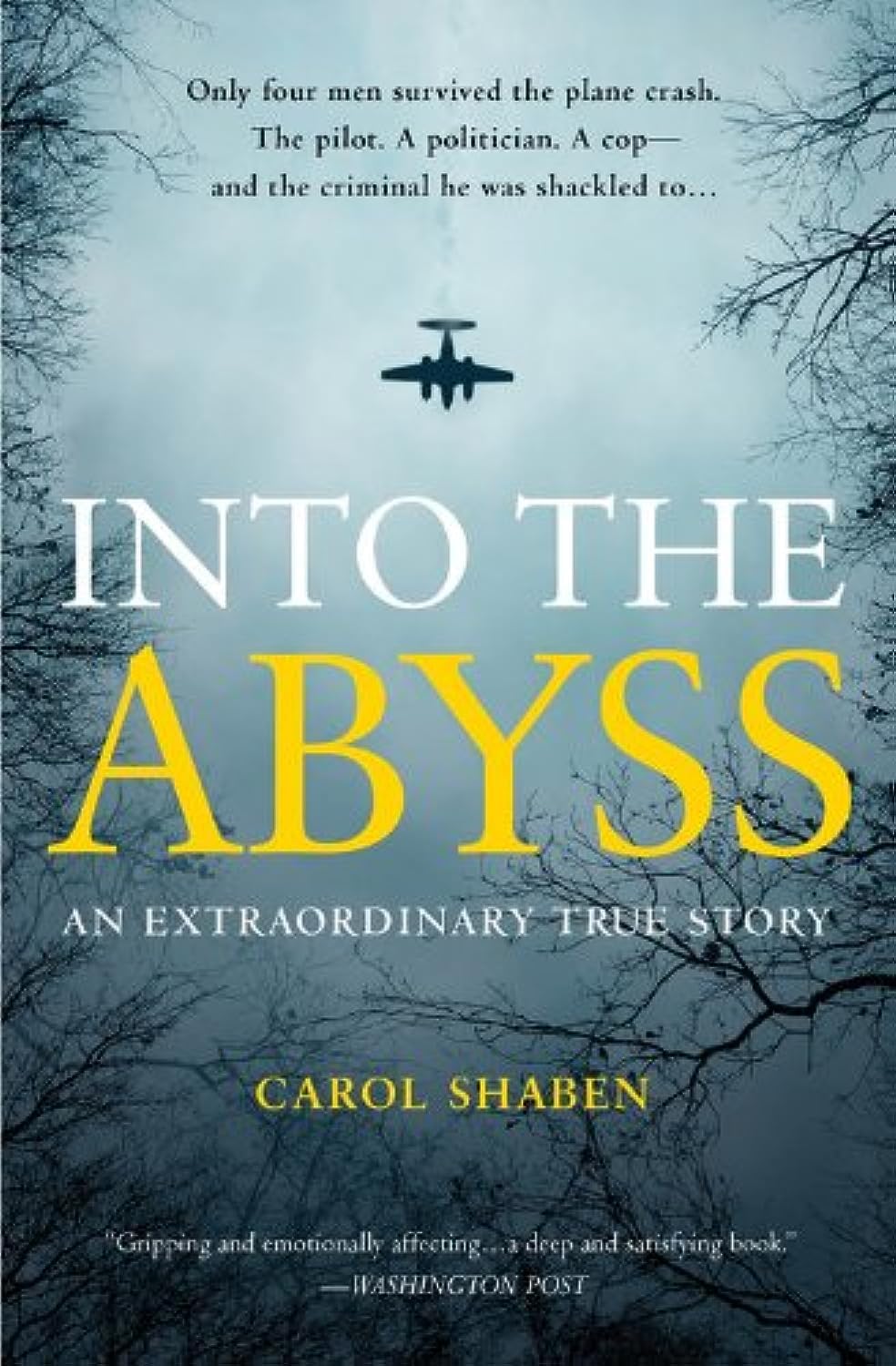 Into the Abyss: An Extraordinary True Story by Shaben, Carol (2014) Paperback,New