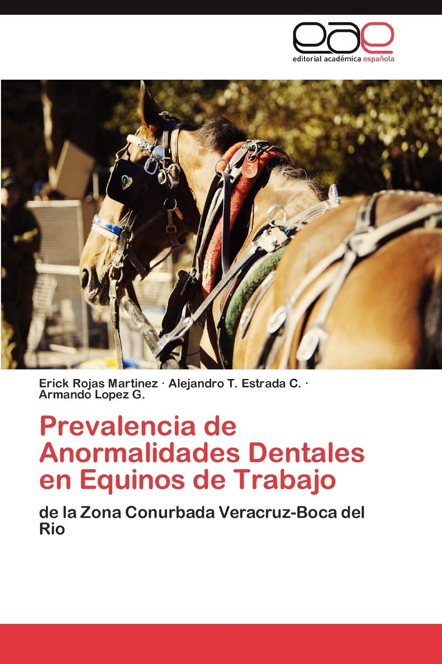 Prevalencia de Anormalidades Dentales en Equinos de Trabajo: de la Zona Conurbada VeracruzBoca del Rio (Spanish Edition),Used