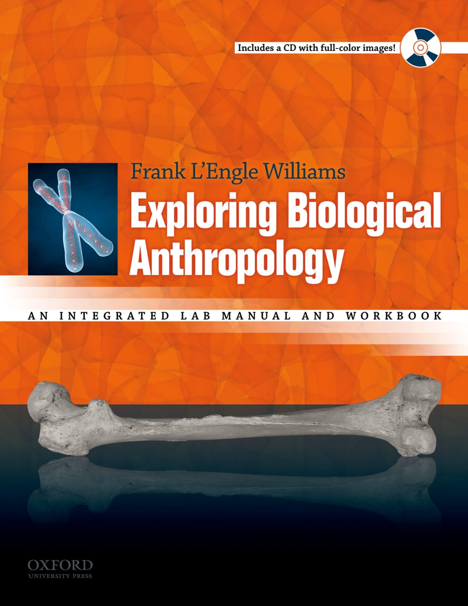 Exploring Biological Anthropology: An Integrated Lab Manual and Workbook,New