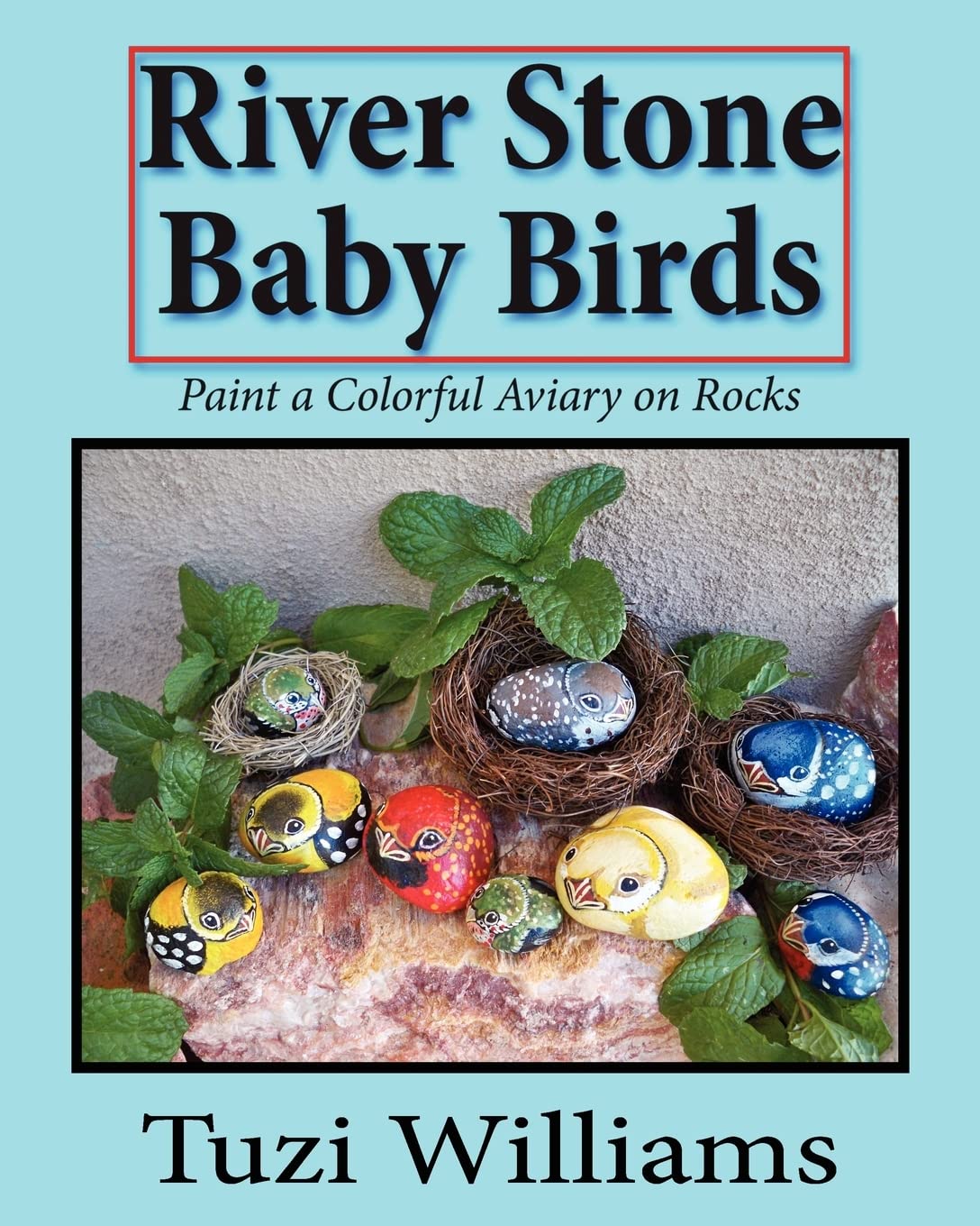 River Stone Baby Birds: Paint A Colorful Aviary On Rocks,Used