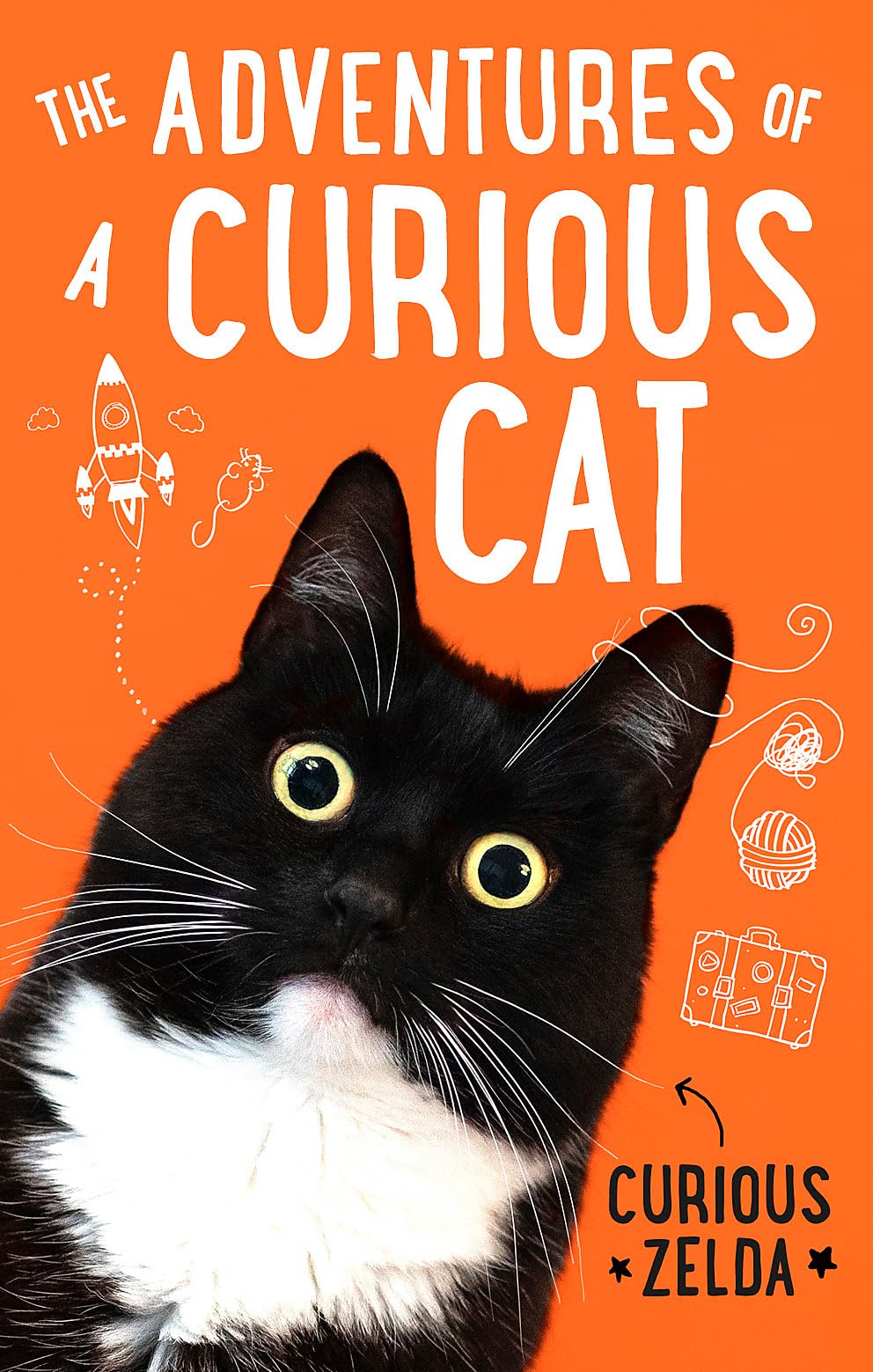 The Adventures Of A Curious Cat: Wit And Wisdom From Curious Zelda, Purrfect For Cats And Their Humans,New