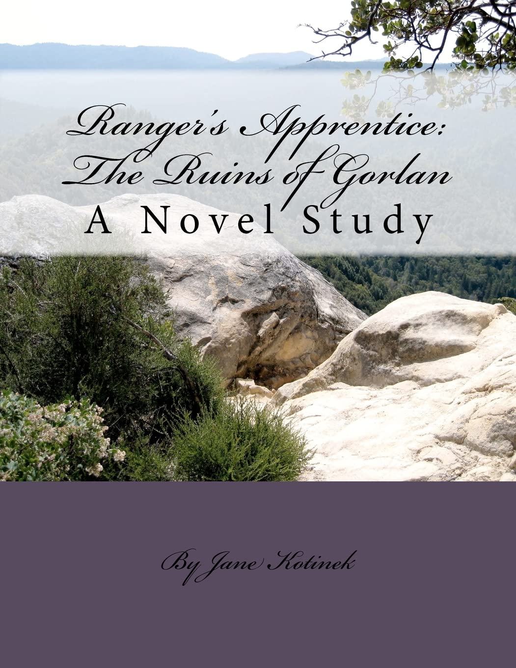 Ranger'S Apprentice: The Ruins Of Gorlan A Novel Study,Used
