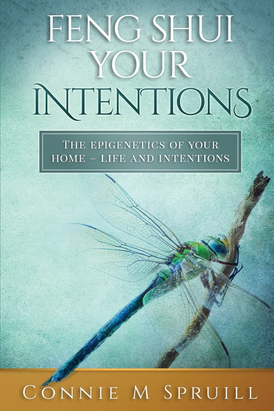 Feng Shui Your Intentions: The Epigenetics of your Home  Life and Intentions,Used