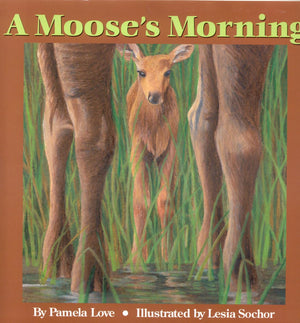 A Moose's Morning,Used