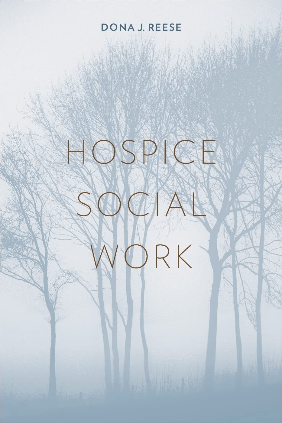 Hospice Social Work (EndofLife Care: A Series),Used