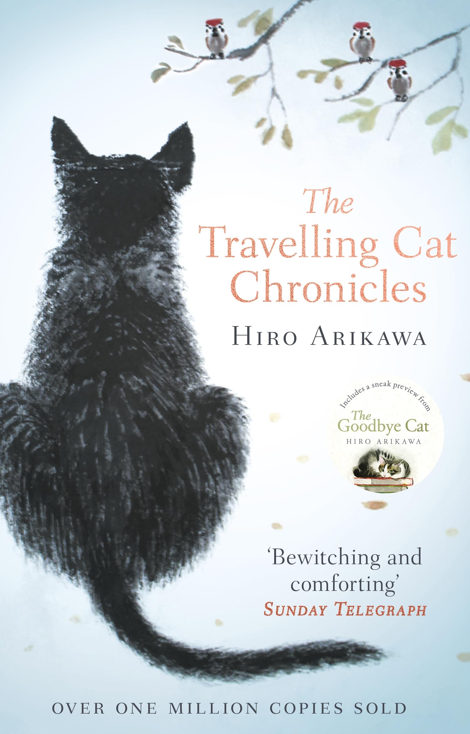 The Travelling Cat Chronicles: The uplifting millioncopy bestselling Japanese translated story,Used