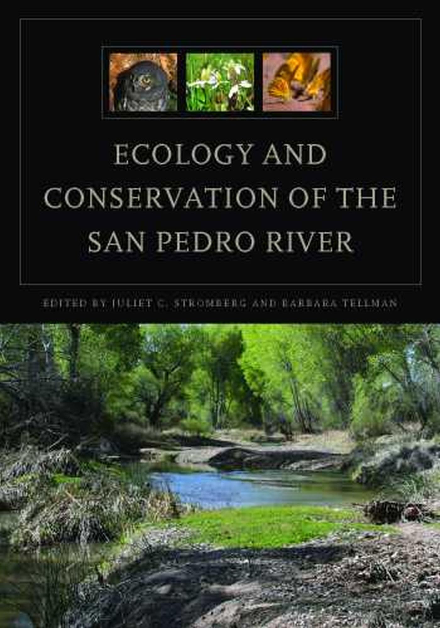 Ecology And Conservation Of The San Pedro River,Used