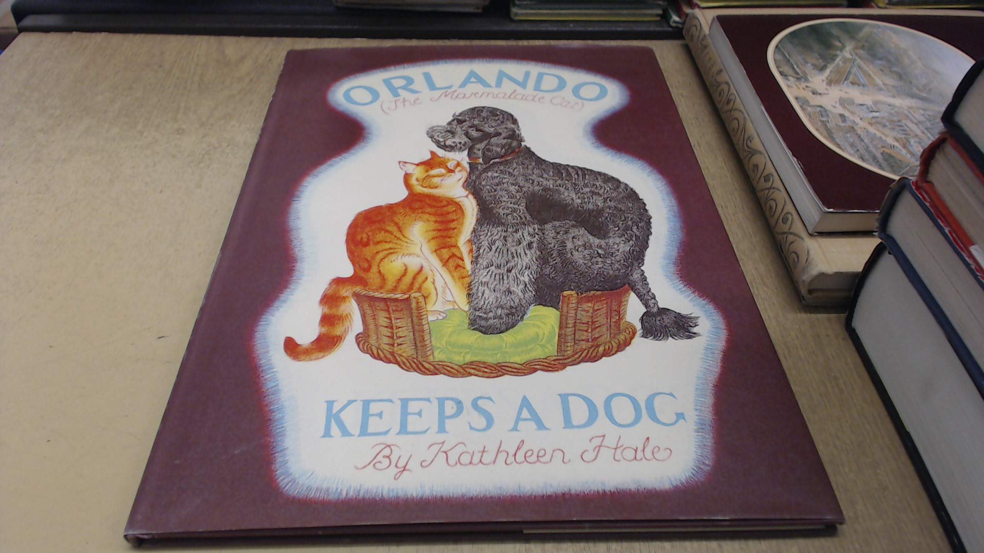 Orlando Keeps A Dog