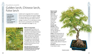 The Bonsai Beginner'S Bible,New