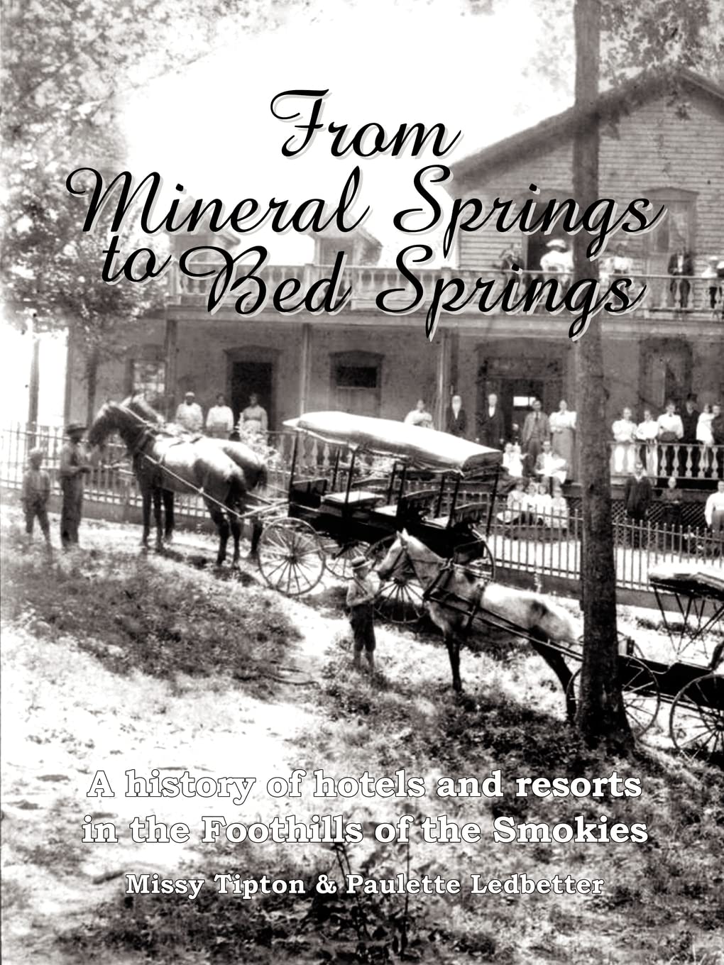 From Mineral Springs to Bed Springs: A history of hotels and resorts in the Foothills of the Smokies,Used