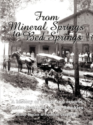 From Mineral Springs to Bed Springs: A history of hotels and resorts in the Foothills of the Smokies,Used