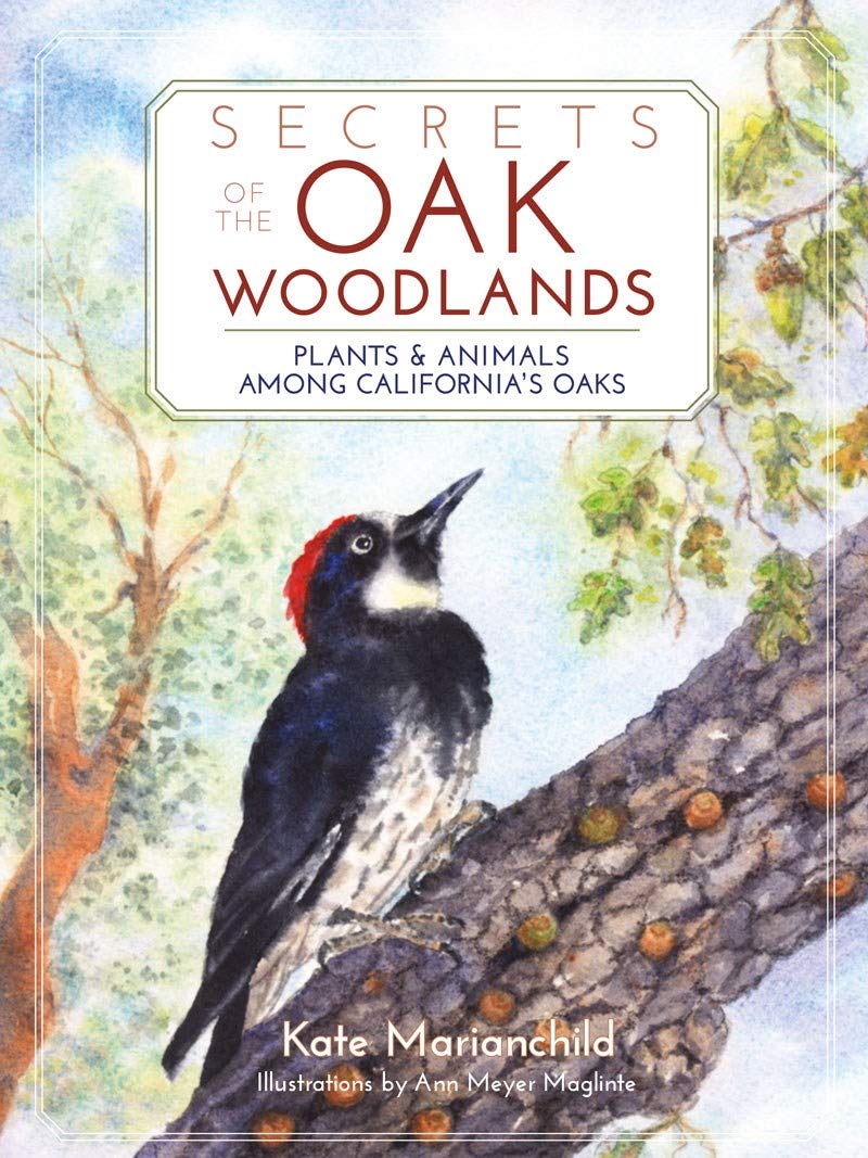 Secrets of the Oak Woodlands: Plants and Animals among California's Oaks,Used
