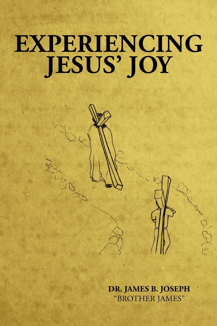 Experiencing Jesus' Joy,Used