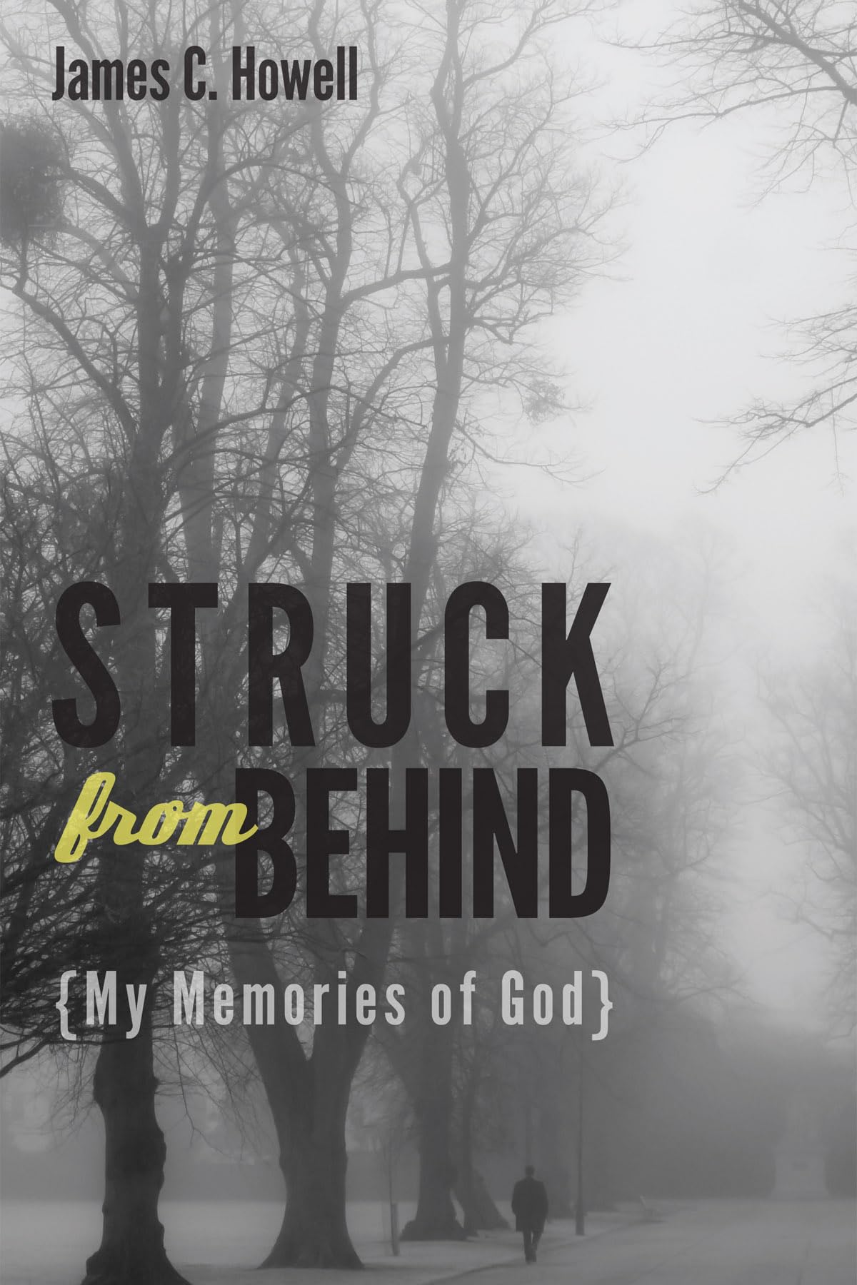 Struck from Behind: My Memories of God,Used