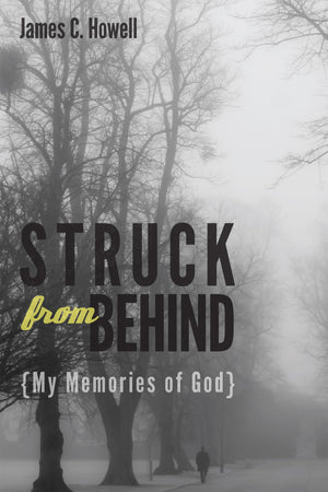 Struck from Behind: My Memories of God,Used