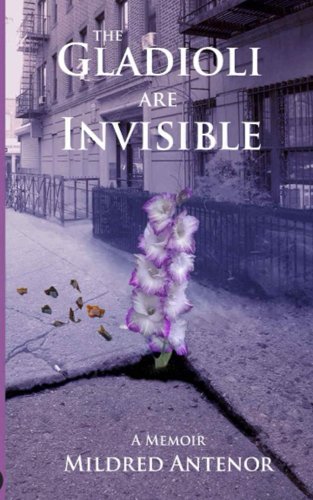 The Gladioli Are Invisible: A Memoir,Used