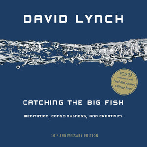 Catching The Big Fish: Meditation, Consciousness, And Creativity: 10Th Anniversary Edition,Used
