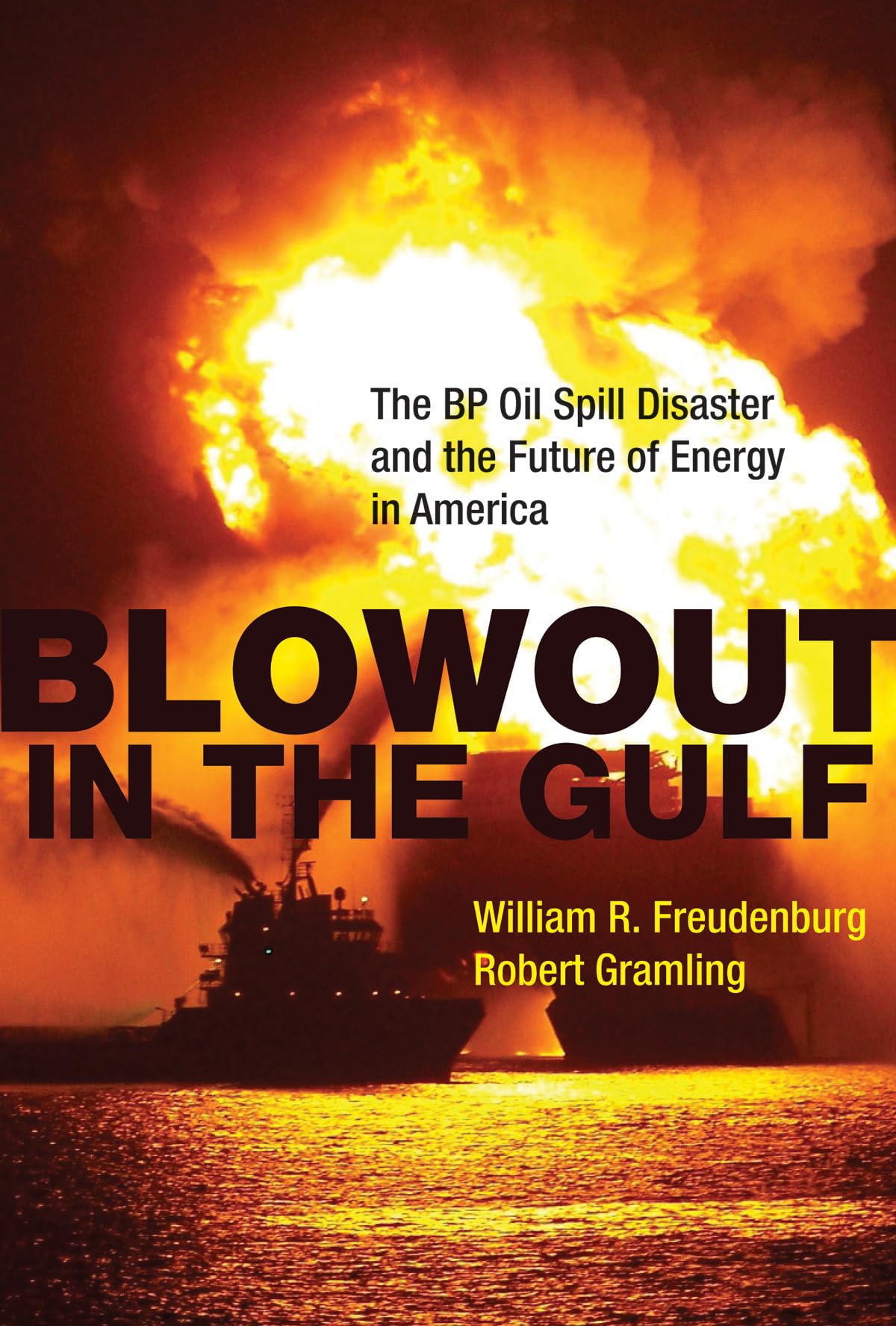 Blowout in the Gulf: The BP Oil Spill Disaster and the Future of Energy in America,Used