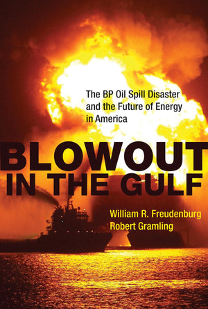 Blowout in the Gulf: The BP Oil Spill Disaster and the Future of Energy in America,Used