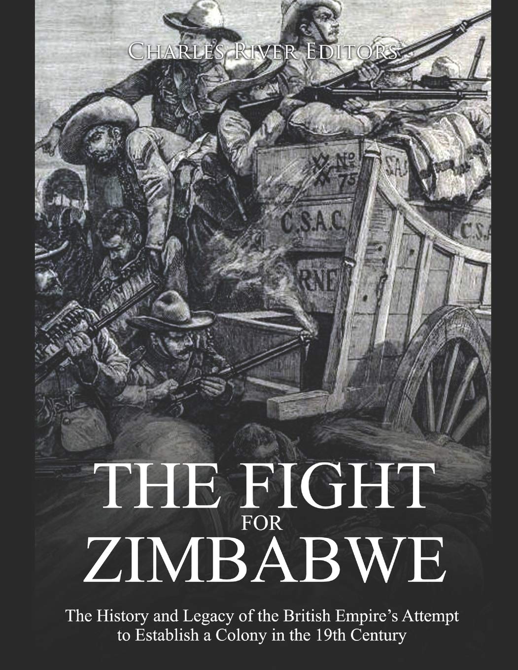 The Fight for Zimbabwe: The History and Legacy of the British Empires Attempt to Establish a Colony in the 19th Century,Used