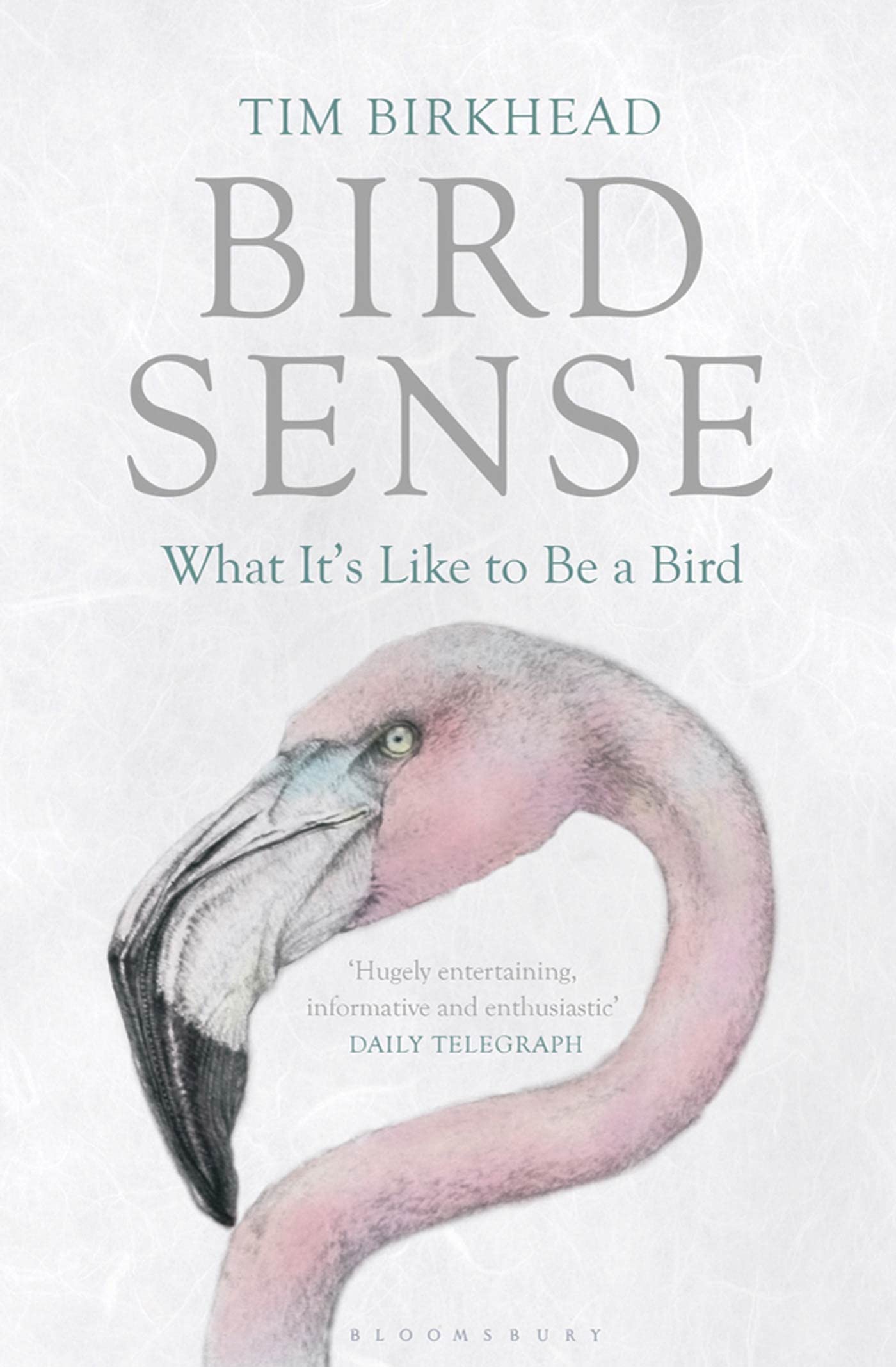 Bird Sense: What It's Like to Be a Bird,New
