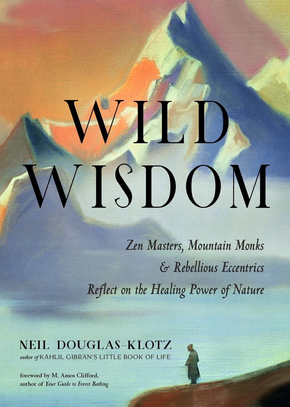 Wild Wisdom: Zen Masters, Mountain Monks, and Rebellious Eccentrics Reflect on the Healing Power of Nature,Used