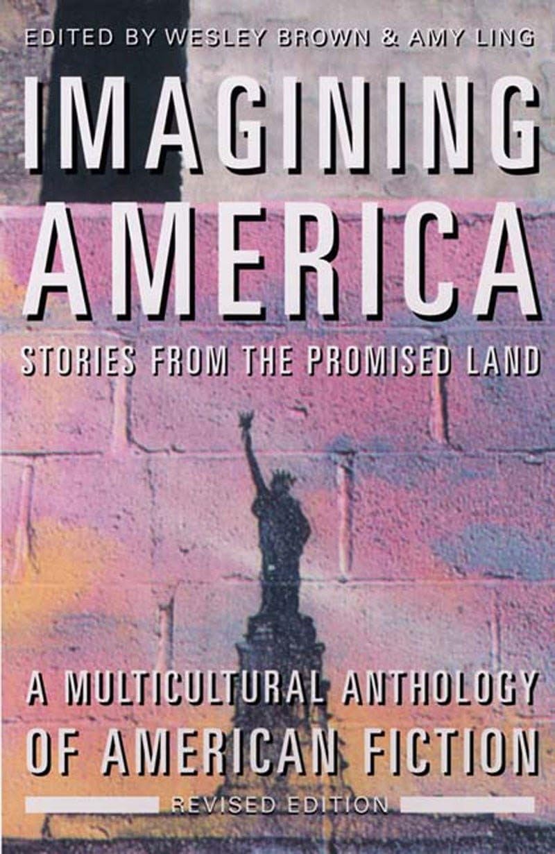 Imagining America: Stories from the Promised Land, Revised Edition,Used