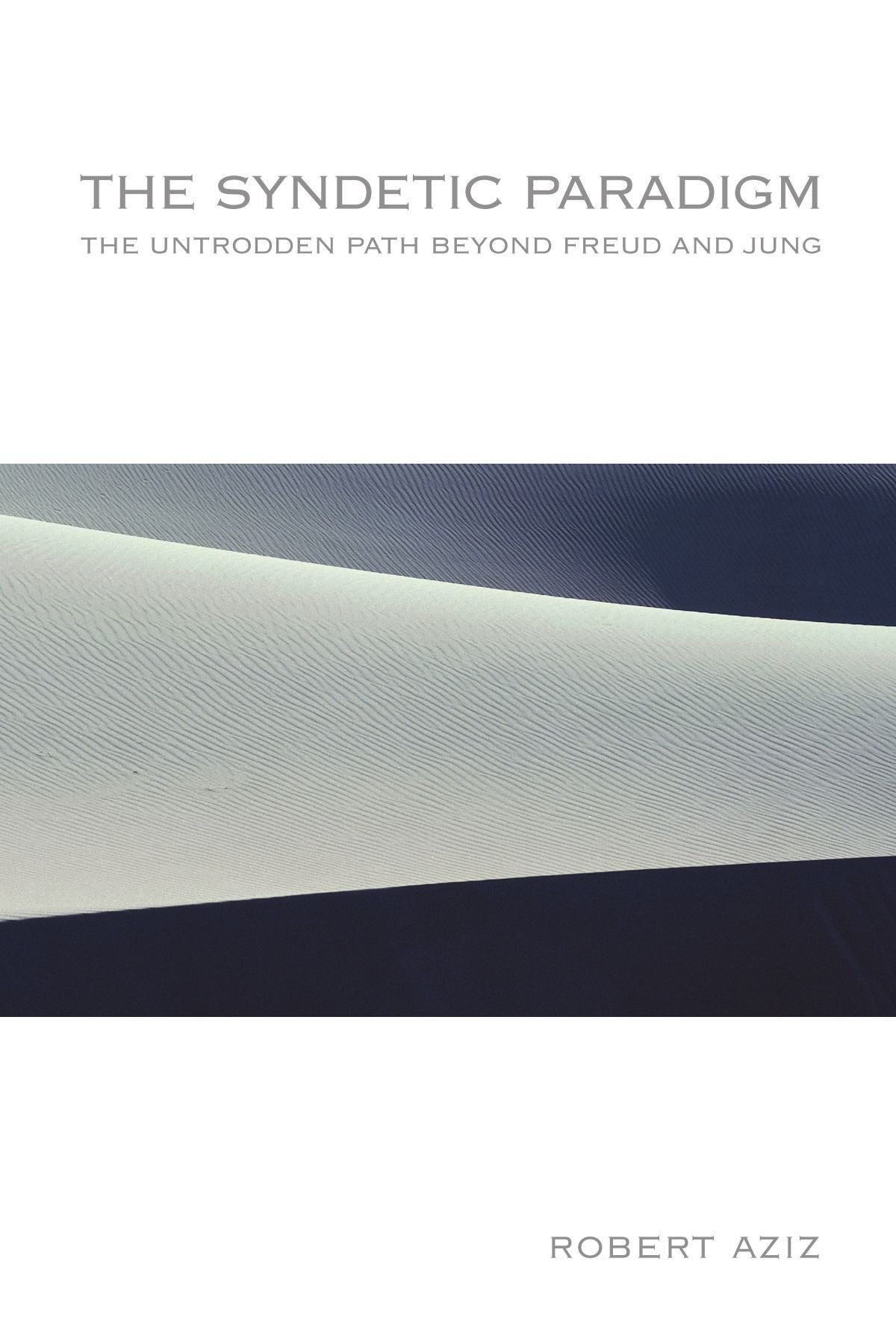 The Syndetic Paradigm: The Untrodden Path Beyond Freud and Jung (Suny Series in Transpersonal and Humanistic Psychology),Used