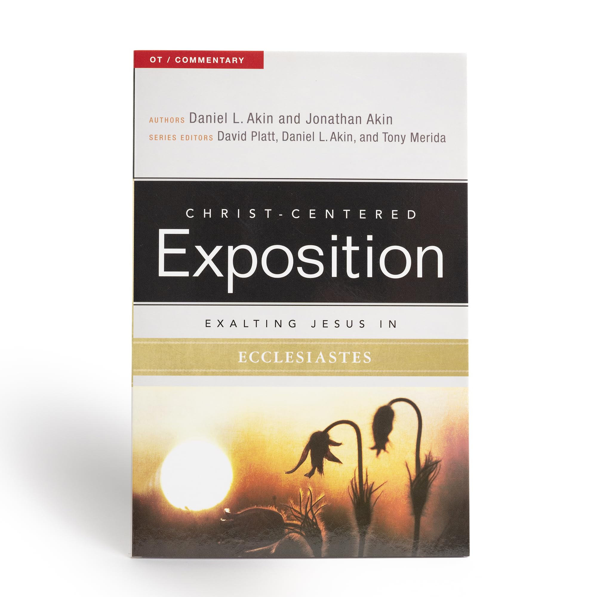 Exalting Jesus In Ecclesiastes (Christcentered Exposition Commentary),New