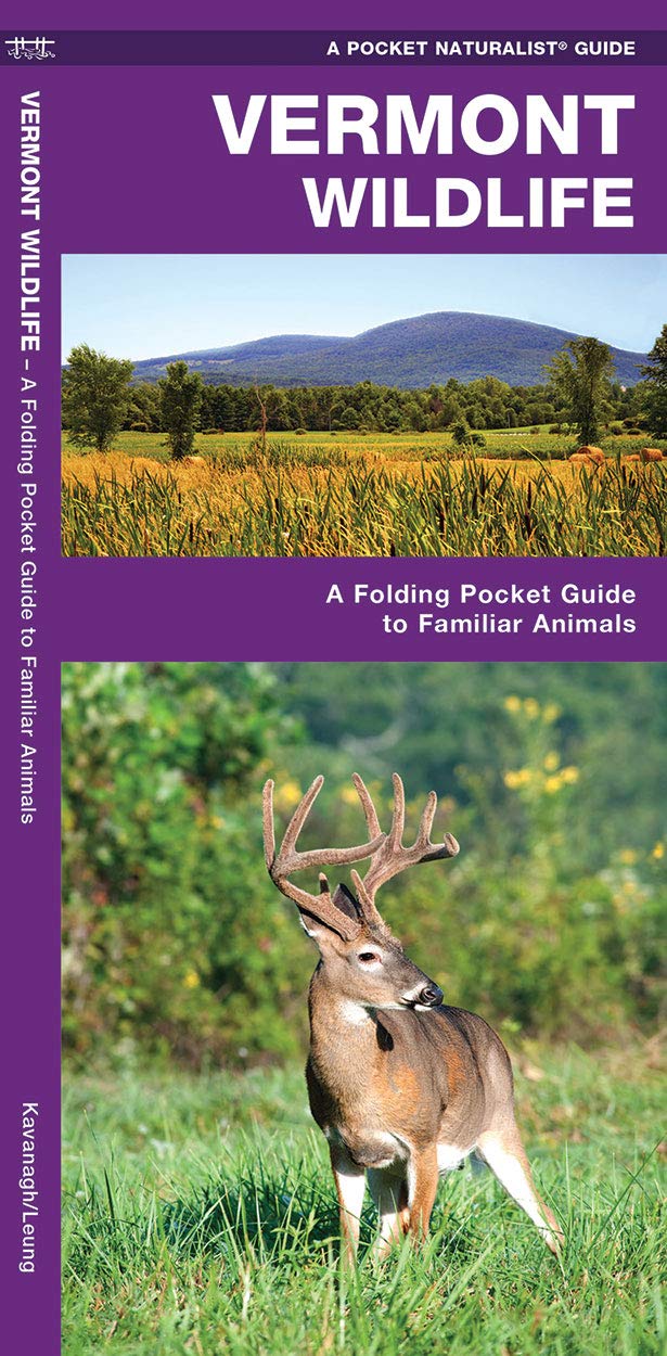 Vermont Wildlife: A Folding Pocket Guide to Familiar Animals (Wildlife and Nature Identification),Used