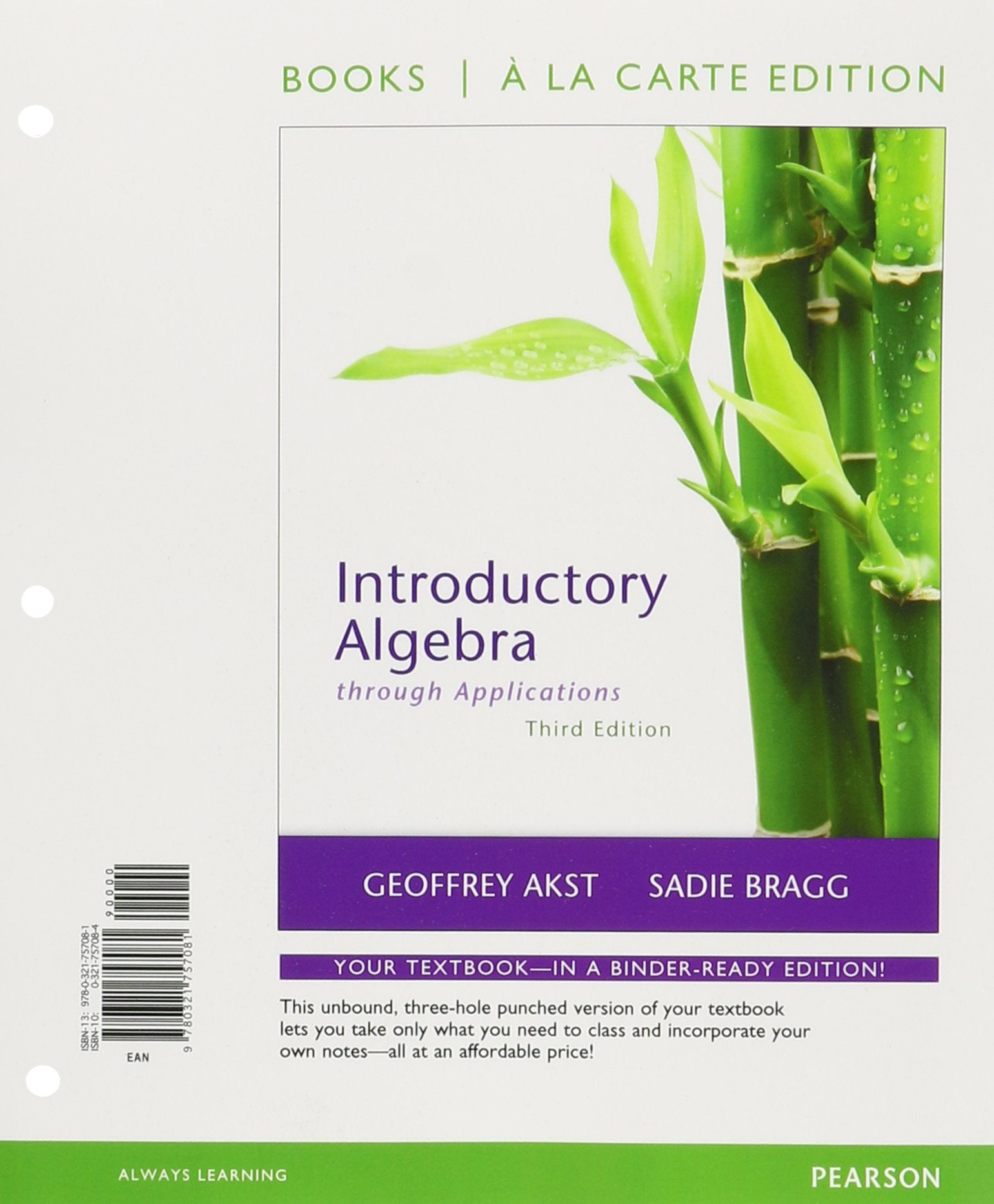 Introductory Algebra Through Applications