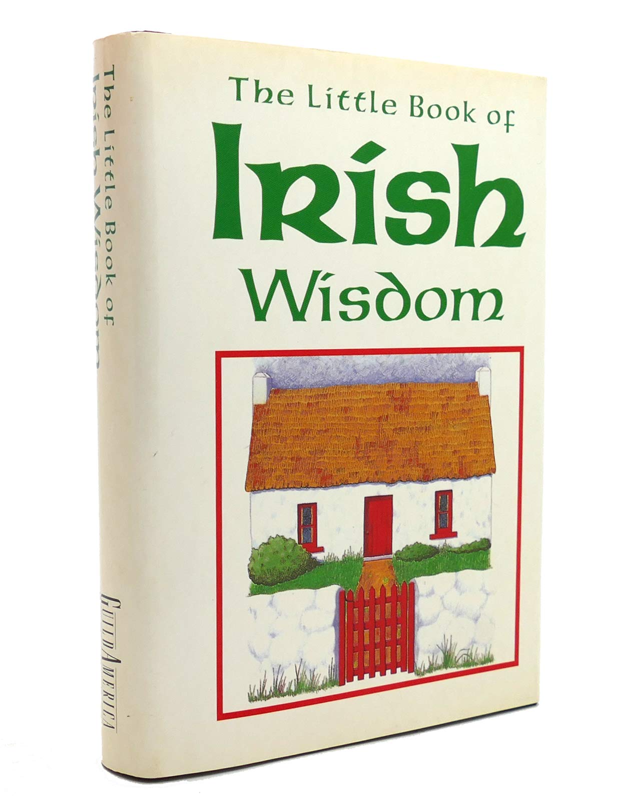 Big Little Book Of Irish Wit & Wisdom