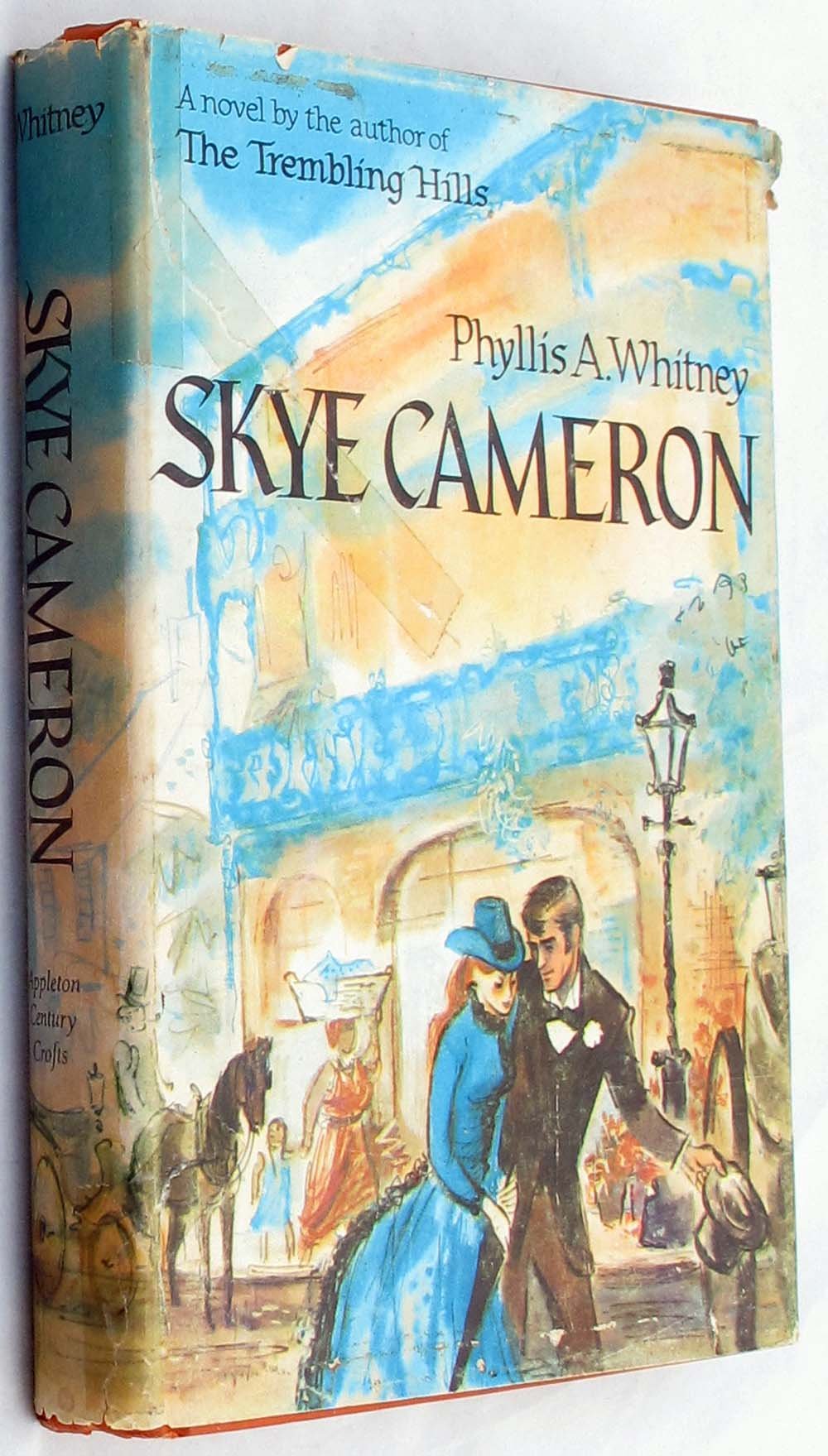 Skye Cameron (Eagle Large Print),Used