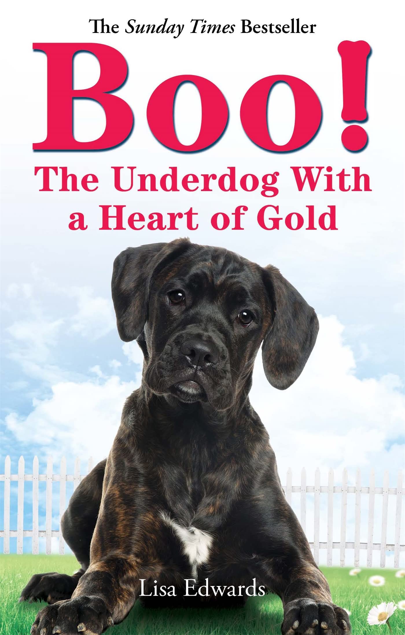 Boo!: The Underdog with a Heart of Gold. Lisa Edwards,Used