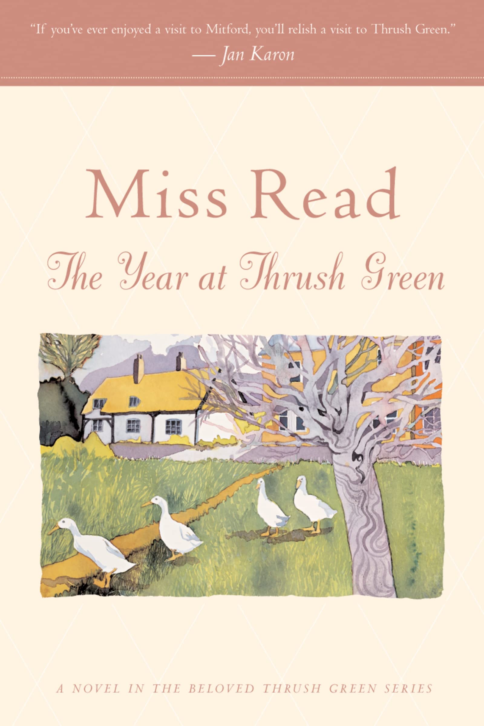 The Year at Thrush Green (Thrush Green Series #12),Used