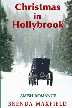 Christmas in Hollybrook: Amish Romance,Used