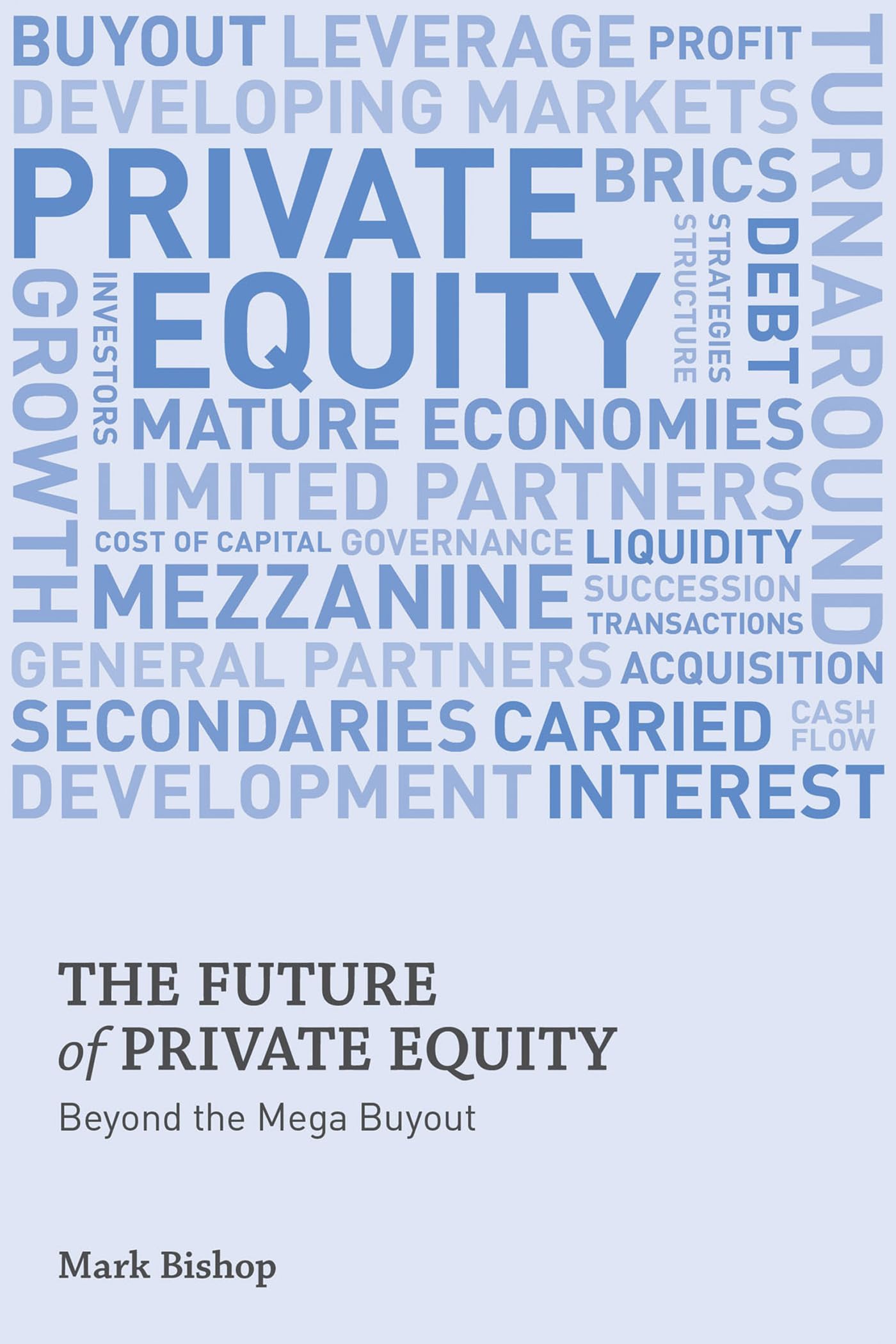 The Future of Private Equity: Beyond the Mega Buyout,Used