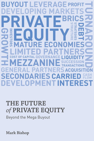 The Future of Private Equity: Beyond the Mega Buyout,Used