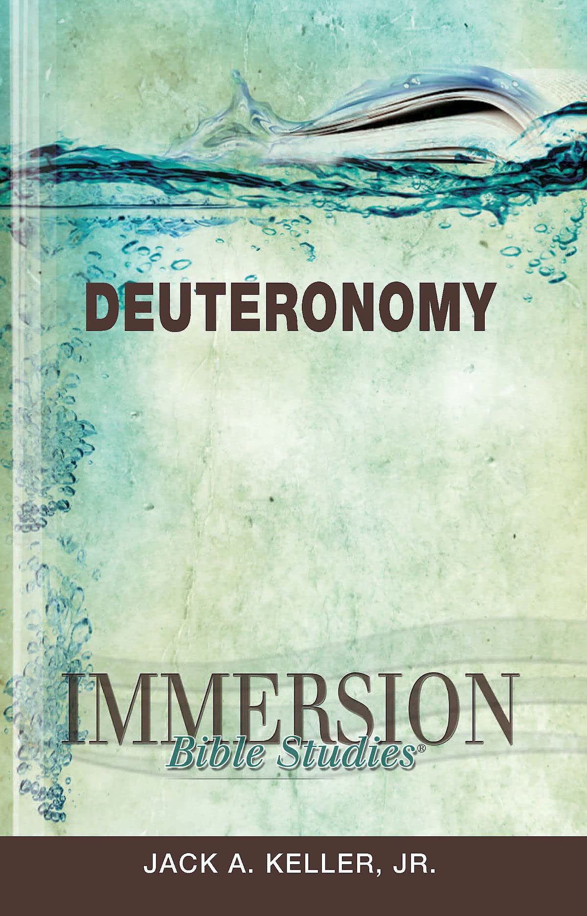 Immersion Bible Studies: Deuteronomy,Used