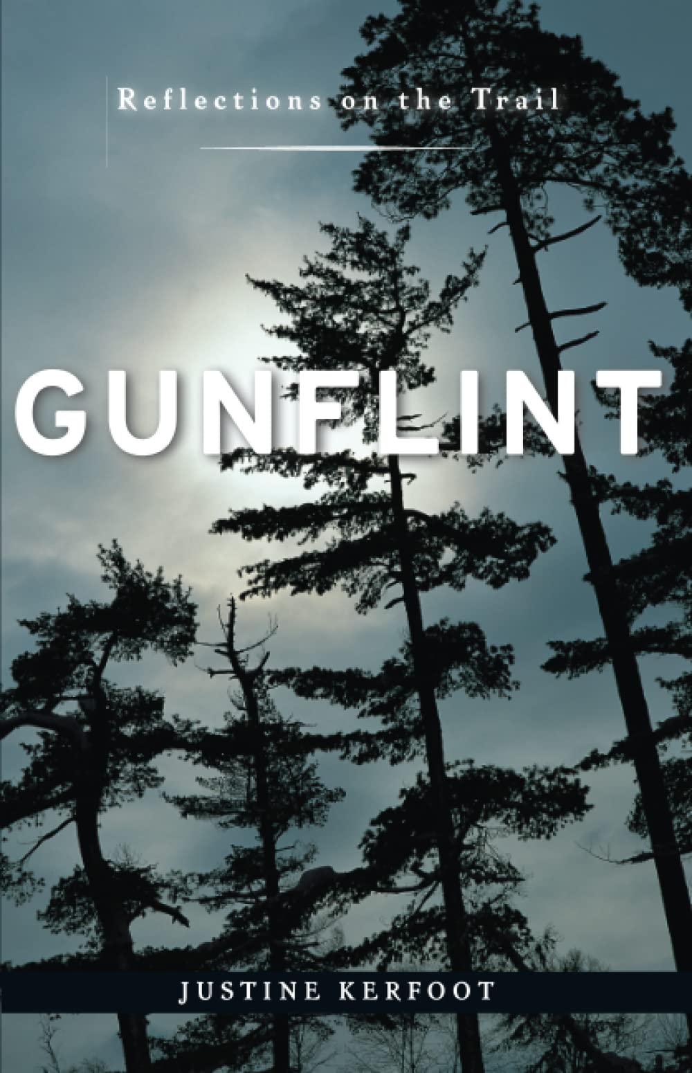 Gunflint: Reflections On The Trail,Used
