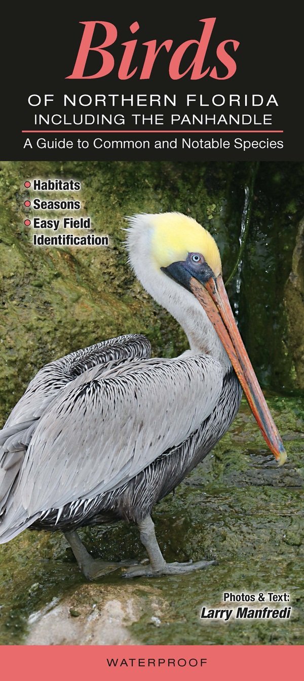 Birds Of Northern Florida Including The Panhandle: A Guide To Common & Notable Species,Used